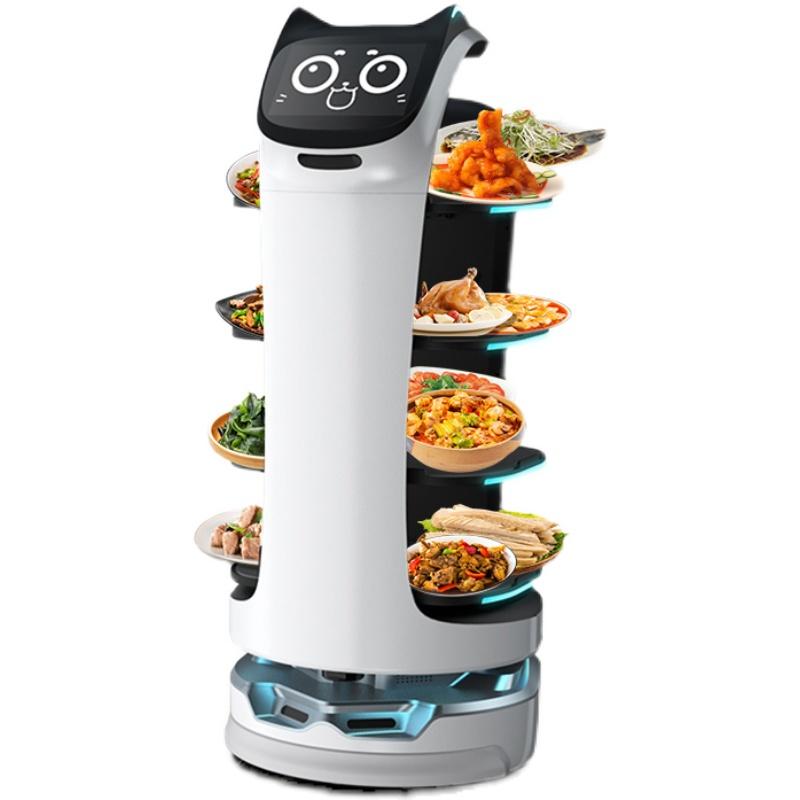 贝拉机器人